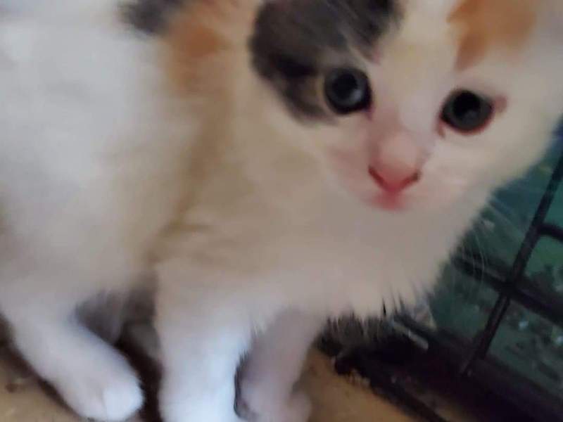 I Found A Loveeee ( again&nbsp;lol)